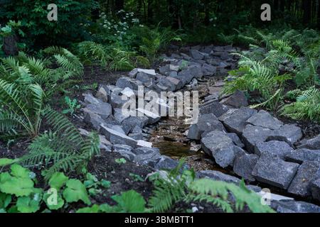 Ein ruhiger Steinpfad, der sich durch Eine üppige Farnlandschaft schlängelt und zu friedlicher Erkundung einlädt Stockfoto