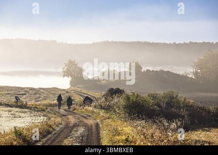 Ein Paar spaziert auf einer gewundenen Schotterstraße in einer sanften Landschaft mit niedrigem Morgennebel auf den Feldern ein wunderschöner sonniger Herbstmorgen Stockfoto