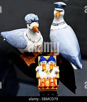 Souvenir aus dem Meer: Eine Möwenfamilie als Souvenir vom Meer Stockfoto