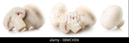 Sekt isoliert auf weißem Hintergrund. Stockfoto