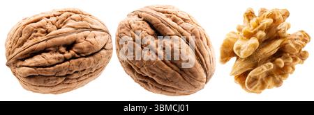 Satz Walnüsse isoliert auf weißem Hintergrund. Stockfoto
