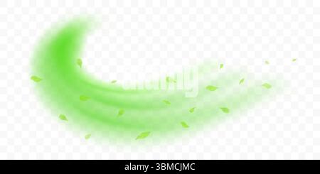 Frische Waldluft wirbelt. Windstrom mit fliegenden grünen Blättern. Realistische 3D-Vektordarstellung isoliert auf transparentem Hintergrund. Stock Vektor