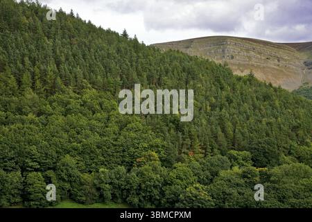 Dinbren Crags oder World's End Escarpment Behind Woodland aus der A5 außerhalb von Llangollen, Denbighshire, Wales, Großbritannien Stockfoto