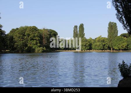 MÜNCHEN, DEUTSCHLAND - 24. JUNI 2025: Ruhiger See umgeben von üppig grünen Bäumen unter klarem blauem Himmel im Englischen Garten Stockfoto
