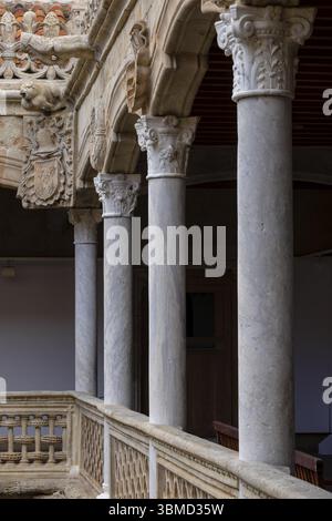 Innenhof des Hauses der Muscheln (Casa de las Conchas), Salamanca, autonome Gemeinschaft von Kastilien und Leon, Spanien, Europa Stockfoto