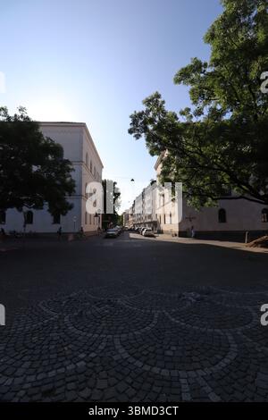 MÜNCHEN, DEUTSCHLAND - 24. JUNI 2025: Frühmorgendlicher Blick auf den Kopfsteinpflasterplatz vor der Ludwig-Maximilians-Universität München mit sonnendurchfluteten Bäumen und Stockfoto