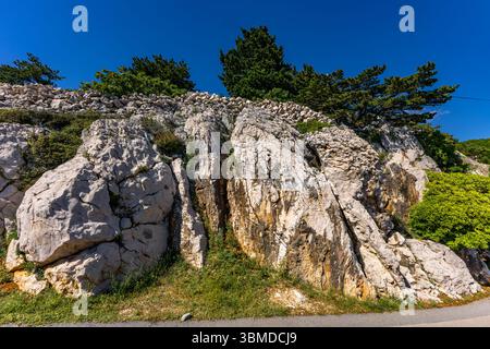 Wilde Natur auf der Insel KRK, malerische Landschaft, komfortable und teure Apartments am Meer. Stockfoto