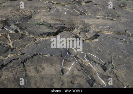 Dinosaurierspuren, die Peladillo-Ära-Ichnites-Deponie, Igea, La Rioja, Spanien, Europa Stockfoto