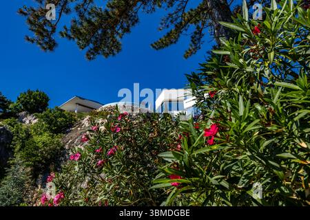 Wilde Natur auf der Insel KRK, malerische Landschaft, komfortable und teure Apartments am Meer. Stockfoto