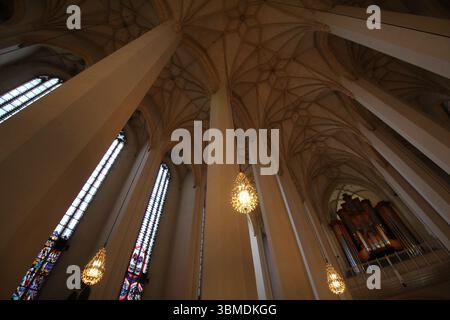 MÜNCHEN - 24. JUNI 2025: Innenansicht der gewölbten Decke und Säulen der Theaterkirche St. Cajetan mit Leuchten und Pfeifen Stockfoto