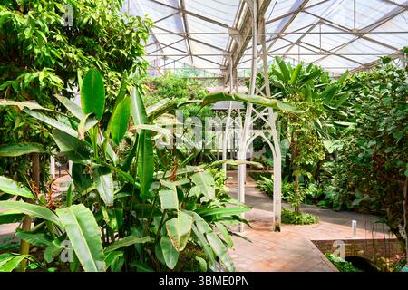 Invernadero del Palacio de Cristal, Kristallpalast Gewächshaus, Arganzuela, Madrid, Spanien Stockfoto