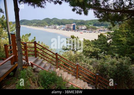 Samcheok City, Südkorea - 31. Mai 2025: Eine Holztreppe schlängelt sich durch Kiefern auf dem Deokbong Mountain und bietet einen ruhigen Abstieg in Richtung S Stockfoto