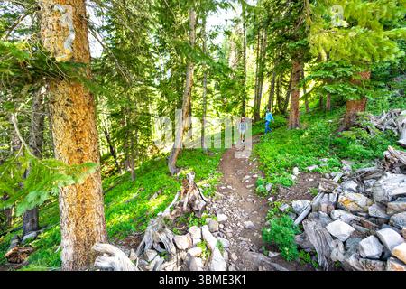 Beaver Creek Resort, USA - 27. Juli 2022: Colorado Royal Elk Wanderweg zum Beaver Creek See Sommerwald mit Menschen Touristen zu Fuß Stockfoto