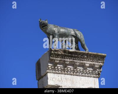 Römische Säule mit Bronzestatue der Kapitolinischen Wolfsfrau Romulus und Remus, vor der romanischen Basilika Aquileia, Udine, Friaul Venezi Stockfoto