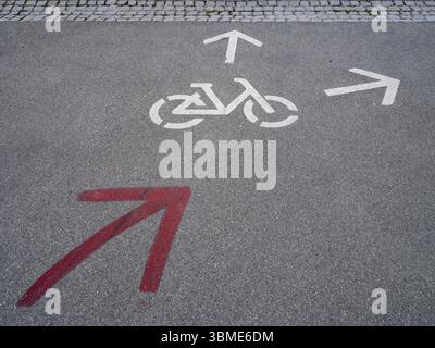 Piktogramm für Fahrräder und Pfeile auf einer Straße auf der Insel Reichenau, Bodensee, Landkreis Bodensee, Baden-Württemberg, Deutschland, Europa Stockfoto