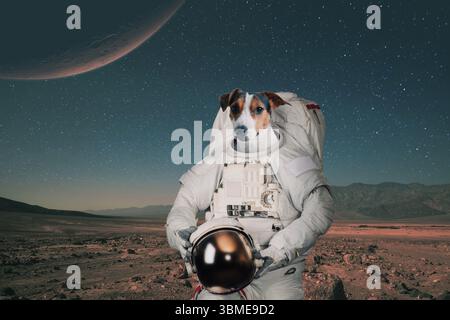 Hund Astronaut in Einem Space Anzug mit Helm reist auf dem Mars. Raumschiff Tier auf Einem Roten Planeten. Raumfahrt-Konzept Stockfoto