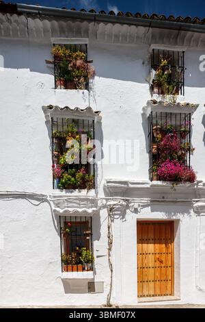 Atemberaubende weiße Fassaden zieren die Gebäude in Grazalema mit farbenfrohen Blumentöpfen und schmiedeeisernen Balkonen im Charme Andalusiens. Stockfoto