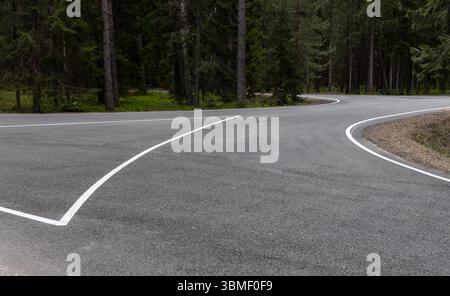 Eine gepflasterte Straße kurvt in einem bewaldeten Gebiet, markiert mit Richtlinien für die Navigation, umgeben von hohen Bäumen und Grün, die die Ruhe im Freien einfangen Stockfoto