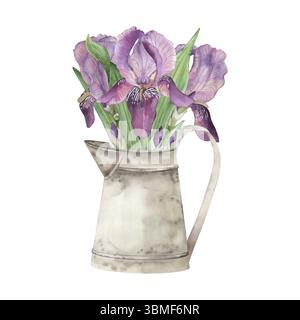 Aquarellillustration von lila Irisblumen in einem rustikalen Vintage-Metallkrug. Perfekt für Bauernhaus-Dekor, Frühlingsblumen-Design, Landküche Stockfoto