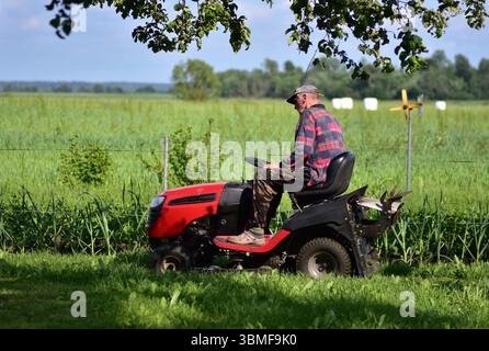 Älterer Mann, der grünen Rasen mit einem roten Rasenmäher in lässiger Kleidung und Camo-Hosen mäht. Gartenarbeit im Sommer, Konzept des ländlichen Lebensstils. Stockfoto