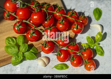 Frische Kirschtomaten auf einer Rebe mit Basilikumblättern und Knoblauchzehen auf einem Holzbrett unter rauem Sonnenlicht. Mediterrane Küche und gesunde Ernährung Stockfoto