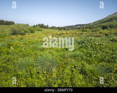 Fantastisches Frühlingspanorama des Vitosha-Berges, Bulgarien Stockfoto