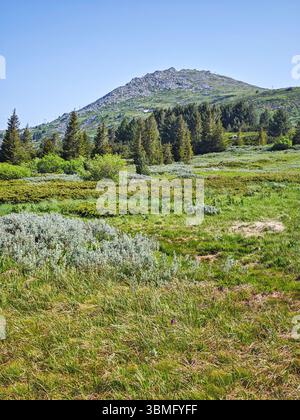 Fantastisches Frühlingspanorama des Vitosha-Berges, Bulgarien Stockfoto