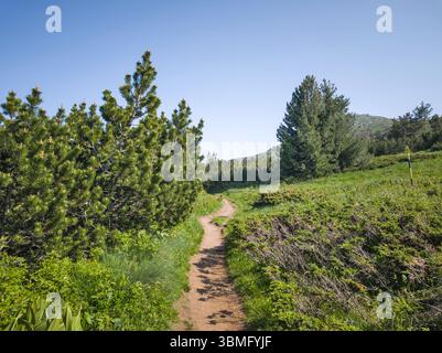 Fantastisches Frühlingspanorama des Vitosha-Berges, Bulgarien Stockfoto