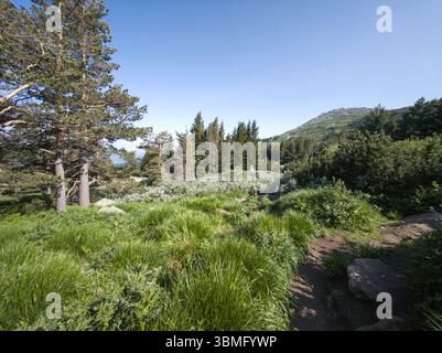 Fantastisches Frühlingspanorama des Vitosha-Berges, Bulgarien Stockfoto