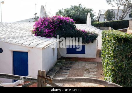 Nettes weißes Haus mit blauen Fensterläden und Blumen Menorca Spanien 03.08.2025 Stockfoto