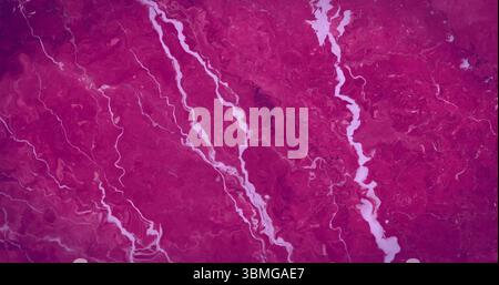 Das zentrale Flussnetz schlängelt sich aus der Luft über strukturiertes Gelände und zeigt Nebenflüsse Stockfoto