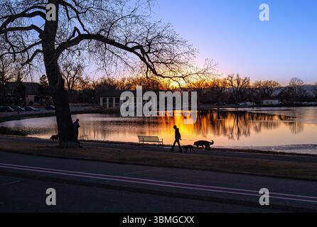 A backlit image of a dog walker at sunset with a colorful beam of golden light reflecting on the lake at Washington Park in Denver, Colorado. Stockfoto