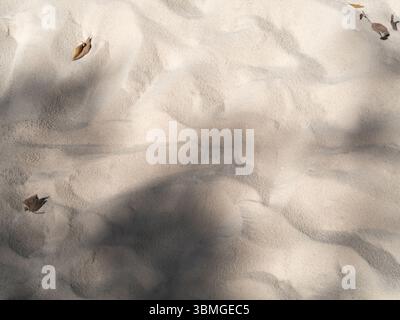 Sandstrandmuster und Palmenschatten. Sommerhintergrund mit Schatten auf Kokosnussblättern, Blick von oben Stockfoto