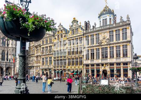 Barocke Gildensäle in Grand-Place (Grote Markt), Bruxelles-Ville, Stadt Brüssel (Bruxelles), Region Brüssel-Hauptstadt, Königreich Belgien Stockfoto