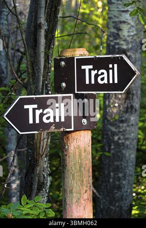 Ein Wegweiser für Wanderwege im Wald Stockfoto