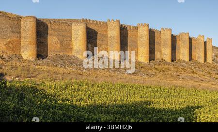 Alter Zaun oder Cerca Vieja, Mauer aus dem 10. Bis 12. Jahrhundert, Berlanga de Duero, Soria, autonome Gemeinde Castilla y Leon, Spanien, Europa Stockfoto