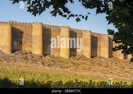 Alter Zaun oder Cerca Vieja, Mauer aus dem 10. Bis 12. Jahrhundert, Berlanga de Duero, Soria, autonome Gemeinde Castilla y Leon, Spanien, Europa Stockfoto