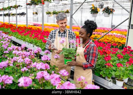 Gewächshausarbeiter Untersuchen Blumen Stockfoto