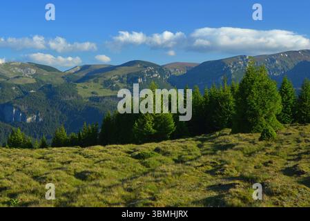 Frühsommerlandschaft, auf einer Höhe von 2000 m, in der erstaunlichen Bucegi-Gegend in den Karpaten Stockfoto