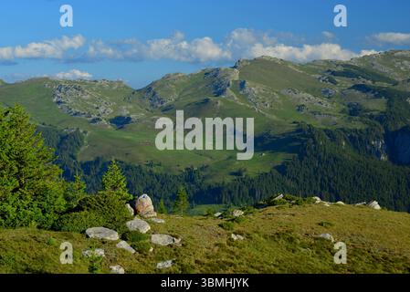 Üppig grüne Hügel und Berge, auf einer Höhe von 2000 m, im Frühsommer in der Bucegi-Region der Karpaten Stockfoto