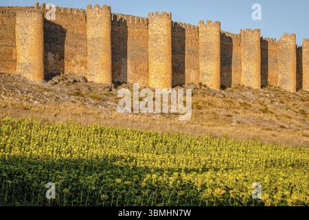 Alter Zaun oder Cerca Vieja, Mauer aus dem 10. Bis 12. Jahrhundert, Berlanga de Duero, Soria, autonome Gemeinde Castilla y Leon, Spanien, Europa Stockfoto