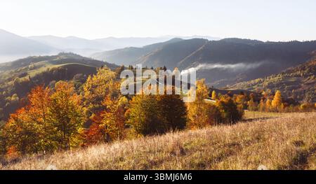 Die aufgehende Sonne erleuchtet orange Herbstbäume auf nebeligen Hängen unter trüben Gipfeln. Hochlandlandschaft in ruhigem Morgenglühen mit saisonalen Tönen Stockfoto