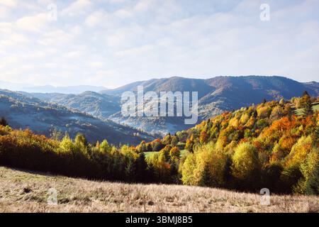 Der farbenfrohe Herbstwald leuchtet bei Sonnenaufgang auf nebeligen Hügeln, während die Berge im Hintergrund verblassen. Ruhige Morgenszene, eingerahmt in sanftem Licht und mehrschichtige Herbstkulisse Stockfoto