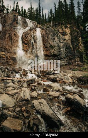 Die Tangle Creek Falls kaskadieren über den felsigen Bach im Jasper National Park Stockfoto