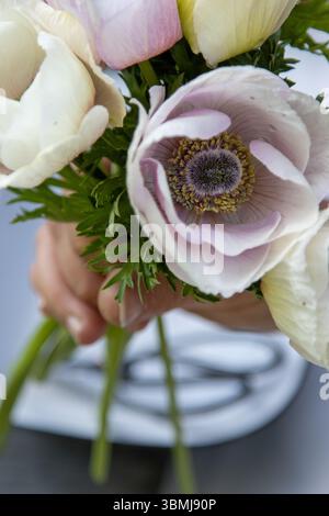 Nahaufnahme eines hellen Anemonenstraußes in warmem Abendlicht Stockfoto