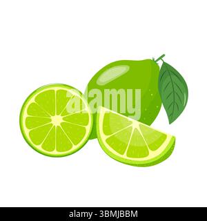 Limette-Symbolgruppe. Helle ganze Früchte, Hälften, Scheiben mit Blättern. Gesundes Essen, Dessert und Limonade. Elemente für Frühling und Sommer. Vektor Stock Vektor