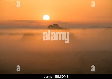 Niedrig liegender Nebel auf den Somerset Levels in der Nähe von Meare bei Sonnenaufgang mit einem wunderschönen farbigen Sonnenaufgang, großbritannien Stockfoto
