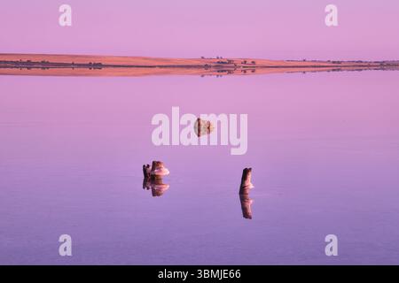 In Lake Tyrrell Stockfoto