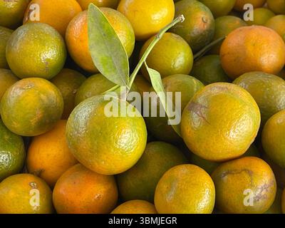 Clementine-Früchte, Clementine-Früchte, natürliches Hintergrundbild. Stockfoto