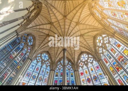 Die komplizierte Decke und die lebendigen Buntglasfenster des Chapter House zeigen die atemberaubenden architektonischen Details der Westminster Abbey in London bei Tageslicht. Stockfoto